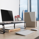 Alterzone Rise 2 Desktop Monitor Stand, Black - DELENordic.com Alterzone Rise 2 monitoritaso 13