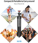 ZOMEi T50 Portable Tripod, Black - DELENordic.com ZOMEi T50 Portable Tripod, Black