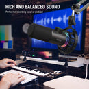 Fifine x DELE K658 USB Dynamic RGB Microphone Bundle for Gaming and Streaming - DELENordic.com Fifine K658 USB Dynamic RGB -mikrofoni